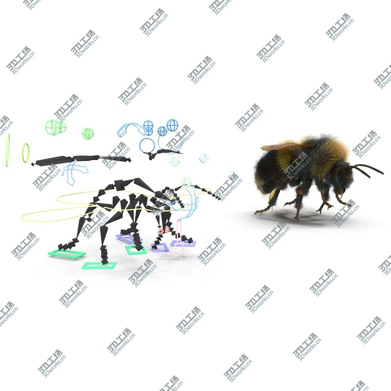 images/goods_img/202104092/Bumblebee Rigged/5.jpg